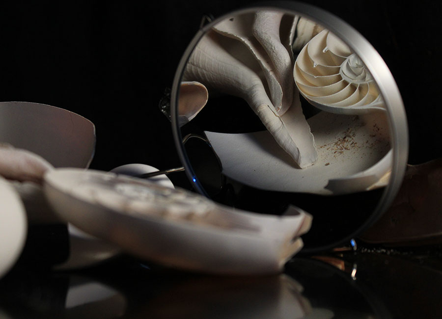 Reflection of shells